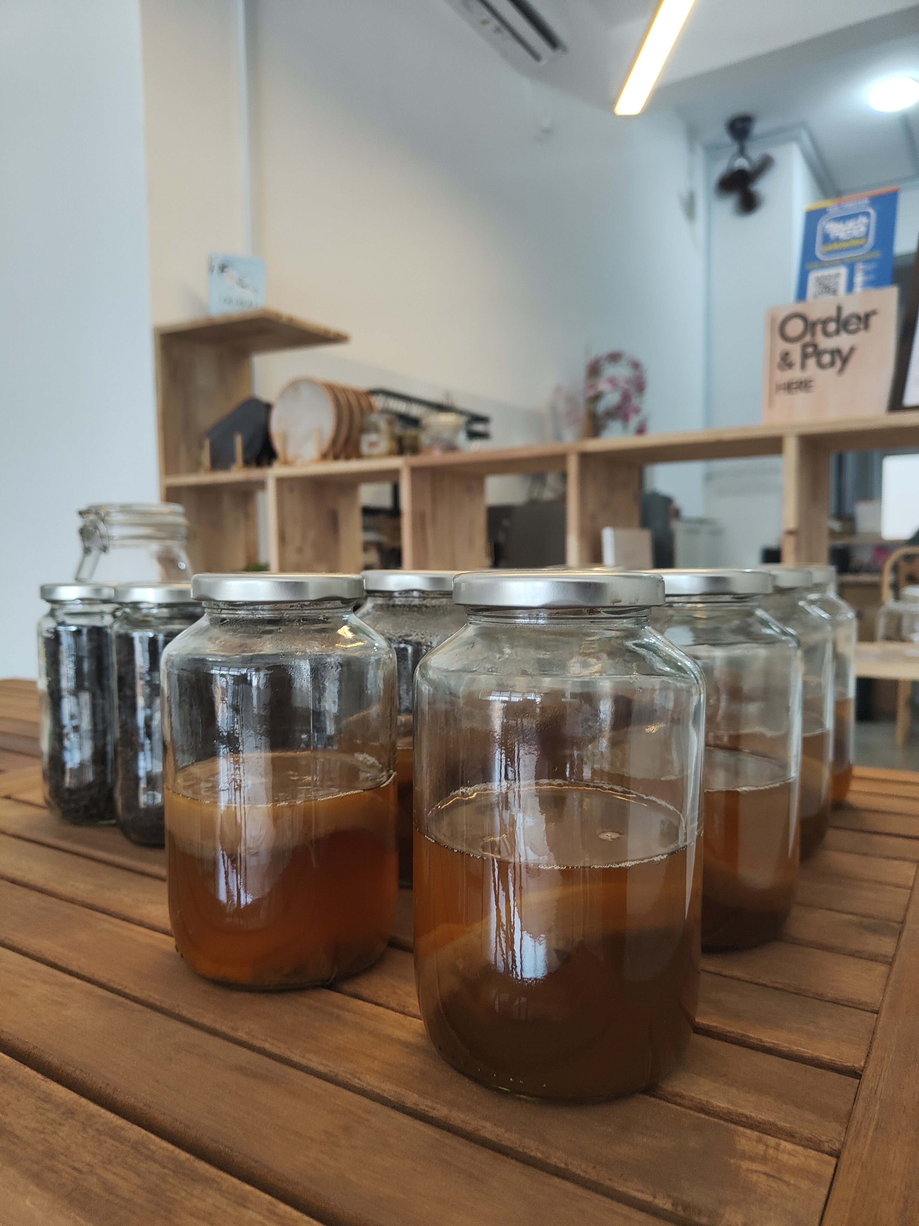 Kombucha Kit