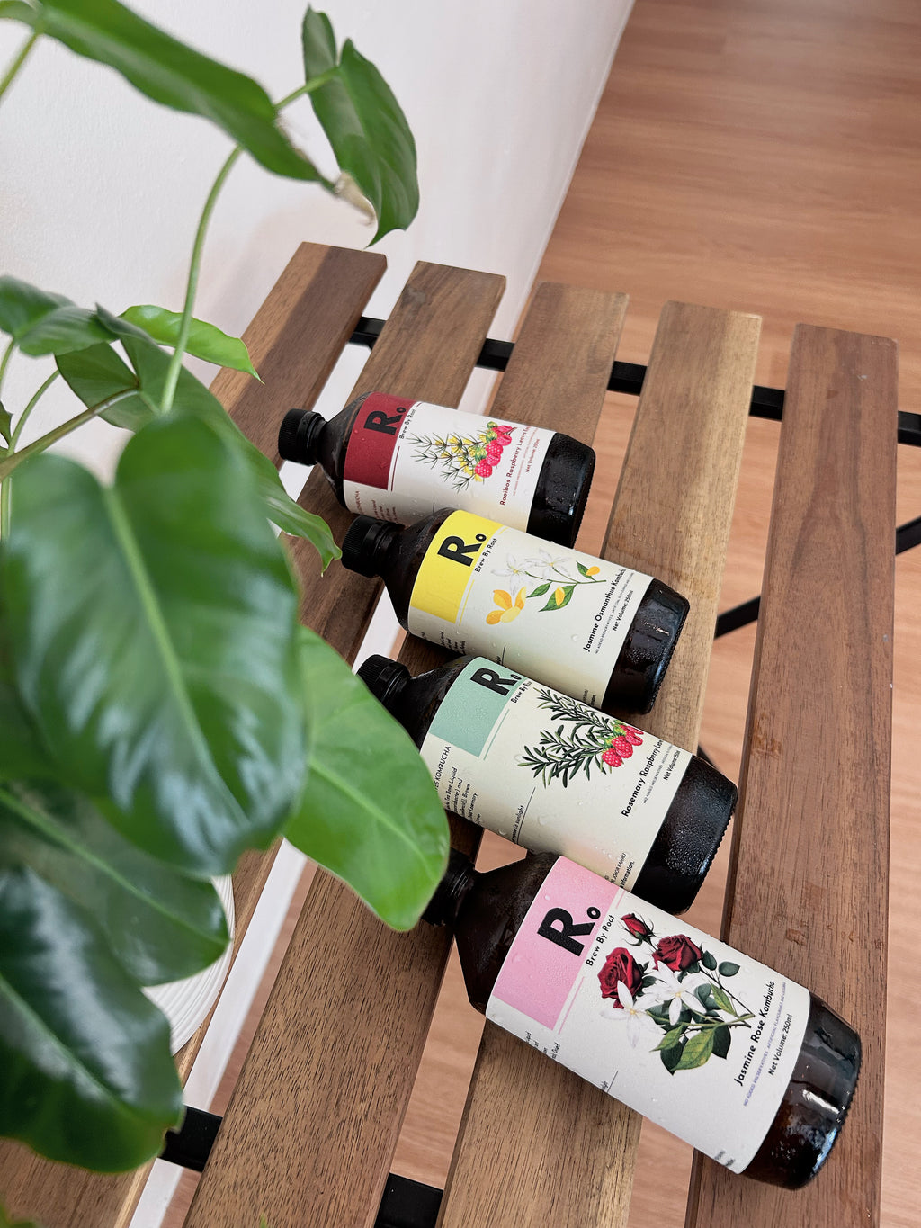 The Premium Kombucha 6-Buy 6 free 1