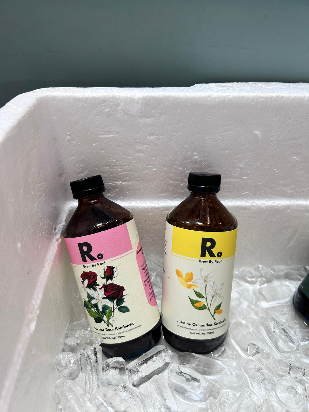 The Classic Kombucha 6 - Buy 6 Free 1